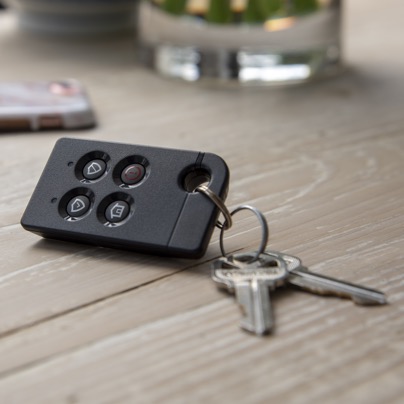 Napa security key fob