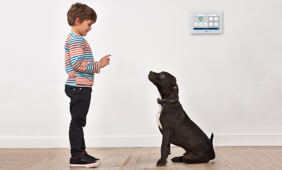 San Pablo security systems